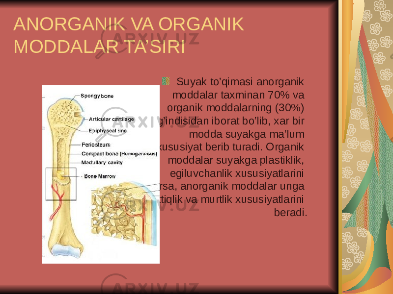 ANORGANIK VA ORGANIK MODDALAR TA’SIRI Suyak to’qimasi anorganik moddalar taxminan 70% va organik moddalarning (30%) yig’indisidan iborat bo’lib, xar bir modda suyakga ma’lum xususiyat berib turadi. Organik moddalar suyakga plastiklik, egiluvchanlik xususiyatlarini bersa, anorganik moddalar unga qattiqlik va murtlik xususiyatlarini beradi. 