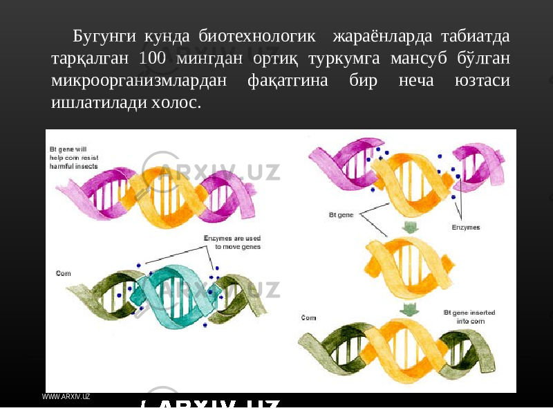 Транскрипция генома