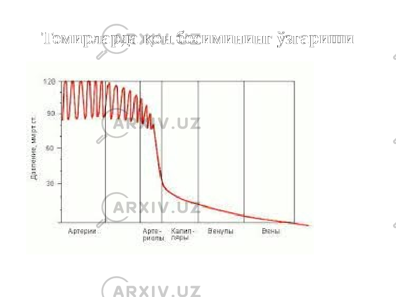 Томирларда қон босимининг ўзгариши 