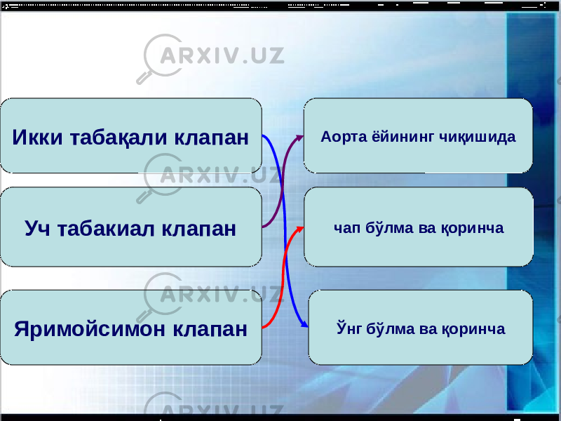 чап бўлма ва қоринча Ўнг бўлма ва қоринчаАорта ёйининг чиқишида Яримойсимон клапан Уч табакиал клапанИкки табақали клапан 