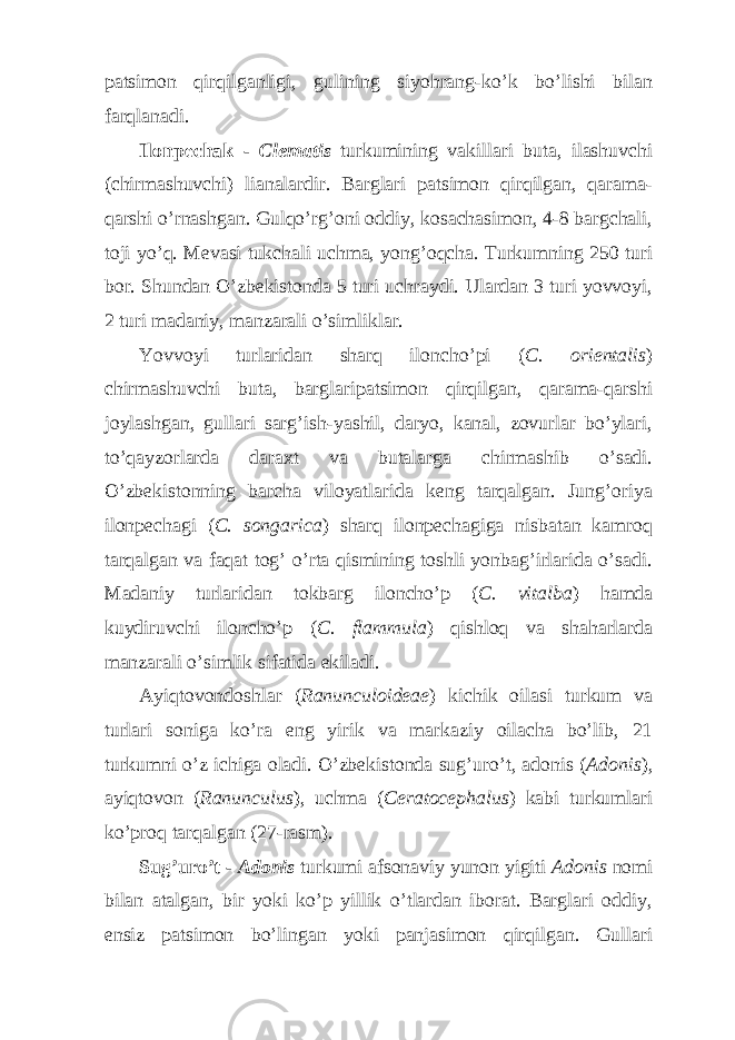 patsimon qirqilganligi, gulining siyohrang-ko’k bo’lishi bilan farqlanadi. Ilonpechak - Clematis turkumining vakillari buta, ilashuvchi (chirmashuvchi) lianalardir. Barglari patsimon qirqilgan, qarama- qarshi o’rnashgan. Gulqo’rg’oni oddiy, kosachasimon, 4-8 bargchali, toji yo’q. Mevasi tukchali uchma, yong’oqcha. Turkumning 250 turi bor. Shundan O’zbekistonda 5 turi uchraydi. Ulardan 3 turi yovvoyi, 2 turi madaniy, manzarali o’simliklar. Yovvoyi turlaridan sharq iloncho’pi ( C. orientalis ) chirmashuvchi buta, barglaripatsimon qirqilgan, qarama-qarshi joylashgan, gullari sarg’ish-yashil, daryo, kanal, zovurlar bo’ylari, to’qayzorlarda daraxt va butalarga chirmashib o’sadi. O’zbekistonning barcha viloyatlarida keng tarqalgan. Jung’oriya ilonpechagi ( C. songarica ) sharq ilonpechagiga nisbatan kamroq tarqalgan va faqat tog’ o’rta qismining toshli yonbag’irlarida o’sadi. Madaniy turlaridan tokbarg iloncho’p ( C. vitalba ) hamda kuydiruvchi iloncho’p ( C. flammula ) qishloq va shaharlarda manzarali o’simlik sifatida ekiladi. Ayiqtovondoshlar ( Ranunculoideae ) kichik oilasi turkum va turlari soniga ko’ra eng yirik va markaziy oilacha bo’lib, 21 turkumni o’z ichiga oladi. O’zbekistonda sug’uro’t, adonis ( Adonis ), ayiqtovon ( Ranunculus ), uchma ( Ceratocephalus ) kabi turkumlari ko’proq tarqalgan (27-rasm). Sug’uro’t - Adonis turkumi afsonaviy yunon yigiti Adonis nomi bilan atalgan, bir yoki ko’p yillik o’tlardan iborat. Barglari oddiy, ensiz patsimon bo’lingan yoki panjasimon qirqilgan. Gullari 