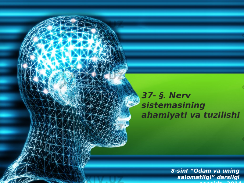 37- §. Nerv sistemasining ahamiyati va tuzilishi 8-sinf “Odam va uning salomatligi” darsligi asosida. 2014 