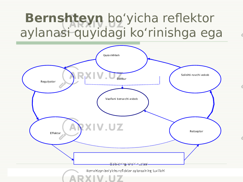 Bernshteyn bo‘yicha reflektor aylanasi quyidagi ko‘rinishga ega Ob’ektning ishchi nuqtasiRegulyator Qayta shifrlash Vazifani beruvchi asbob Solishti-ruvchi asbob Retseptor Dastur Effektor Bernshteyn bo‘yicha reflektor aylanasining tuzilishi 