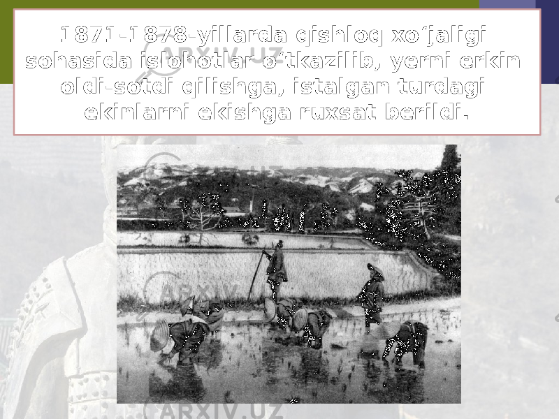 1871-1878-yillarda qishloq xo‘jaligi sohasida islohotlar o‘tkazilib, yerni erkin oldi-sotdi qilishga, istalgan turdagi ekinlarni ekishga ruxsat berildi. 
