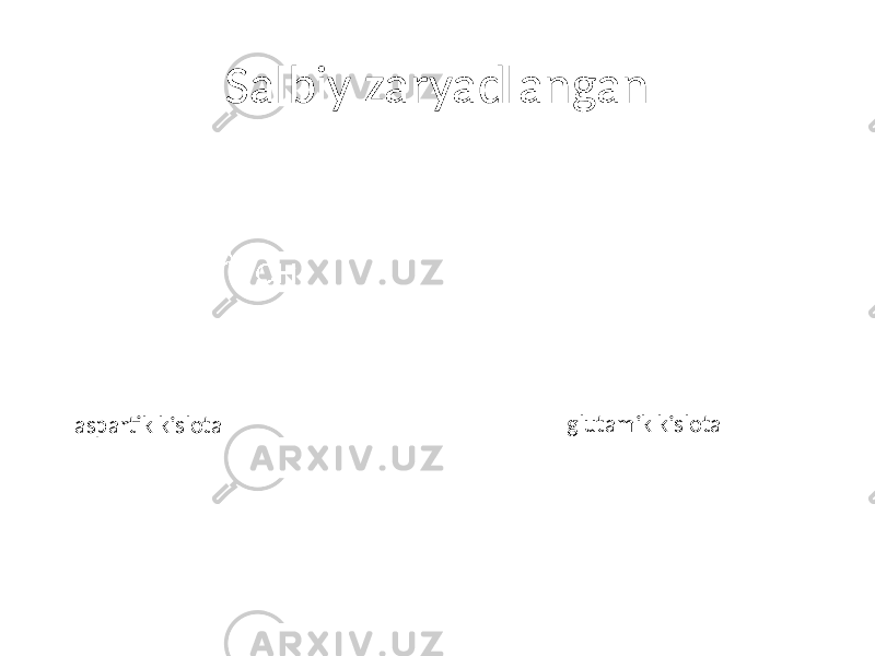 Salbiy zaryadlangan aspartik kislota glutamik kislota 