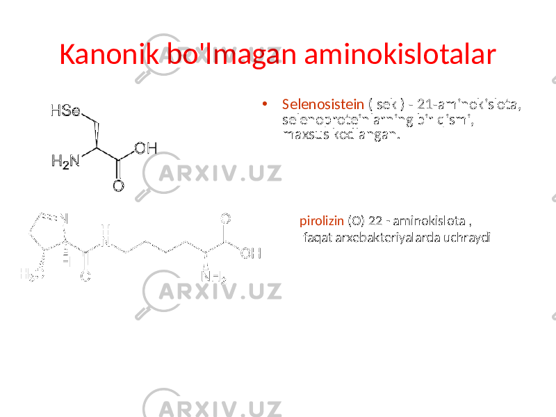 Kanonik bo&#39;lmagan aminokislotalar • Selenosistein ( sek ) - 21-aminokislota, selenoproteinlarning bir qismi, maxsus kodlangan. pirolizin (O) 22 - aminokislota , faqat arxebakteriyalarda uchraydi 