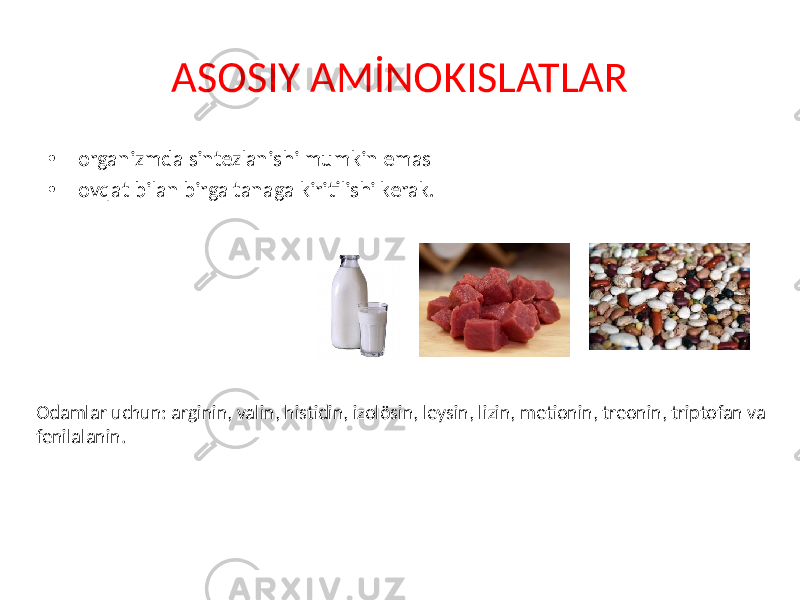 ASOSIY AMİNOKISLATLAR • organizmda sintezlanishi mumkin emas • ovqat bilan birga tanaga kiritilishi kerak. Odamlar uchun: arginin, valin, histidin, izolösin, leysin, lizin, metionin, treonin, triptofan va fenilalanin. 