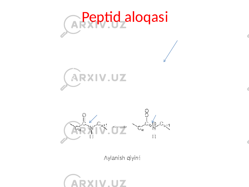 Peptid aloqasi Aylanish qiyin! 