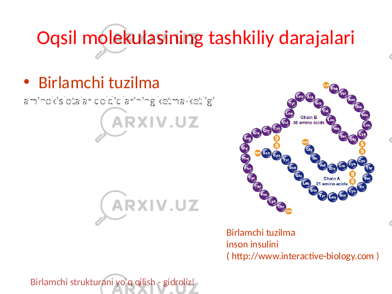 Oqsil molekulasining tashkiliy darajalari • Birlamchi tuzilma aminokislotalar qoldiqlarining ketma-ketligi Birlamchi tuzilma inson insulini ( http://www.interactive-biology.com ) Birlamchi strukturani yo&#39;q qilish - gidroliz! 