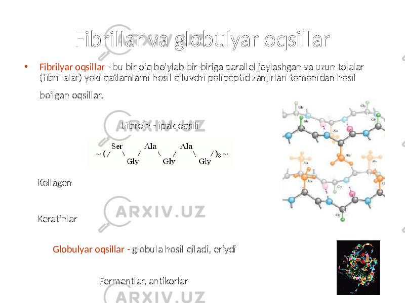 Fibrillar va globulyar oqsillar • Fibrilyar oqsillar - bu bir o&#39;q bo&#39;ylab bir-biriga parallel joylashgan va uzun tolalar (fibrillalar) yoki qatlamlarni hosil qiluvchi polipeptid zanjirlari tomonidan hosil bo&#39;lgan oqsillar. Fibroin - ipak oqsili Kollagen Keratinlar Globulyar oqsillar - globula hosil qiladi, eriydi Fermentlar, antikorlar 