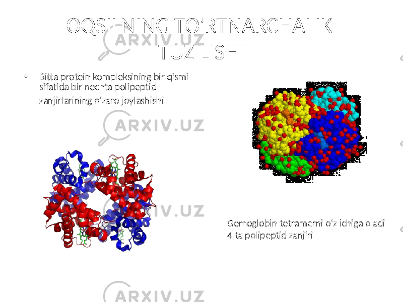 OQSILNING TO&#39;RTNARCHALIK TUZILISHI • Bitta protein kompleksining bir qismi sifatida bir nechta polipeptid zanjirlarining o&#39;zaro joylashishi Gemoglobin tetramerni o&#39;z ichiga oladi 4 ta polipeptid zanjiri 