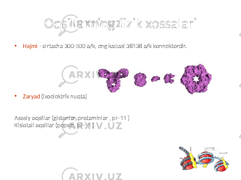 Oqsillarning fizik xossalari • Hajmi - o&#39;rtacha 300-500 a/k, eng kattasi 38138 a/k konnektordir. • Zaryad (izoelektrik nuqta) Asosiy oqsillar (gistonlar, protaminlar , pI=11 ) Kislotali oqsillar (pepsin, pI = 1 ) 