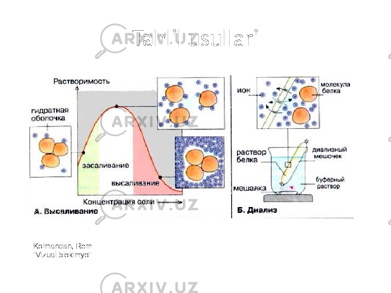 Tahlil usullari Kolmandan, Rem &#34;Vizual biokimyo&#34; 