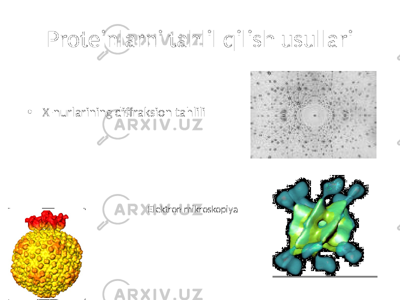 Proteinlarni tahlil qilish usullari • X-nurlarining diffraksion tahlili Elektron mikroskopiya 