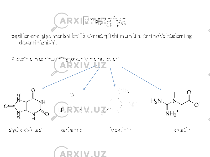 Energiya oqsillar energiya manbai bo&#39;lib xizmat qilishi mumkin. Aminokislotalarning dezaminlanishi. Protein almashinuvining yakuniy mahsulotlari siydik kislotasi karbamid kreatinin kreatin 