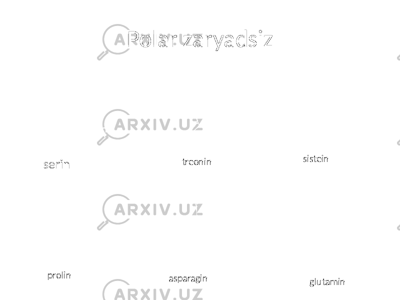 Polar zaryadsiz serin treonin sistein prolin asparagin glutamin 