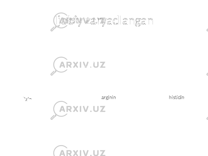 Ijobiy zaryadlangan lizin arginin histidin 