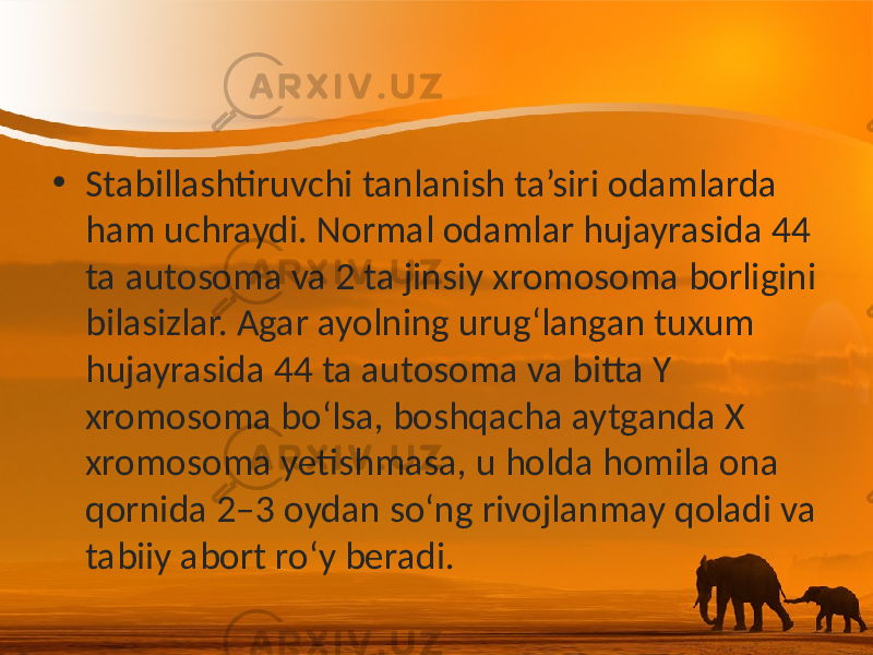 • Stabillashtiruvchi tanlanish ta’siri odamlarda ham uchraydi. Normal odamlar hujayrasida 44 ta autosoma va 2 ta jinsiy xromosoma borligini bilasizlar. Agar ayolning urug‘langan tuxum hujayrasida 44 ta autosoma va bitta Y xromosoma bo‘lsa, boshqacha aytganda X xromosoma yetishmasa, u holda homila ona qornida 2–3 oydan so‘ng rivojlanmay qoladi va tabiiy abort ro‘y beradi. 