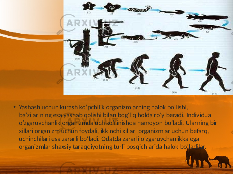 • Yashash uchun kurash ko‘pchilik organizmlarning halok bo‘lishi, ba’zilarining esa yashab qolishi bilan bog‘liq holda ro‘y beradi. Individual o‘zgaruvchanlik organizmda uch ko‘rinishda namoyon bo‘ladi. Ularning bir xillari organizm uchun foydali, ikkinchi xillari organizmlar uchun befarq, uchinchilari esa zararli bo‘ladi. Odatda zararli o‘zgaruvchanlikka ega organizmlar shaxsiy taraqqiyotning turli bosqichlarida halok bo‘ladilar. 