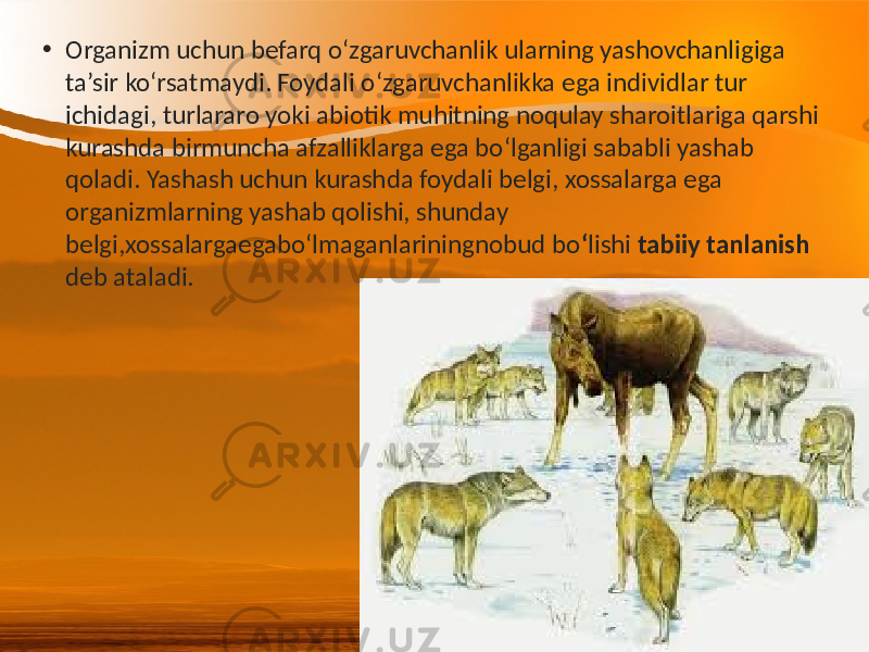 • Organizm uchun befarq o‘zgaruvchanlik ularning yashovchanligiga ta’sir ko‘rsatmaydi. Foydali o‘zgaruvchanlikka ega individlar tur ichidagi, turlararo yoki abiotik muhitning noqulay sharoitlariga qarshi kurashda birmuncha afzalliklarga ega bo‘lganligi sababli yashab qoladi. Yashash uchun kurashda foydali belgi, xossalarga ega organizmlarning yashab qolishi, shunday belgi,xossalargaegabo‘lmaganlariningnobud bo ‘ lishi tabiiy tanlanish deb ataladi. 