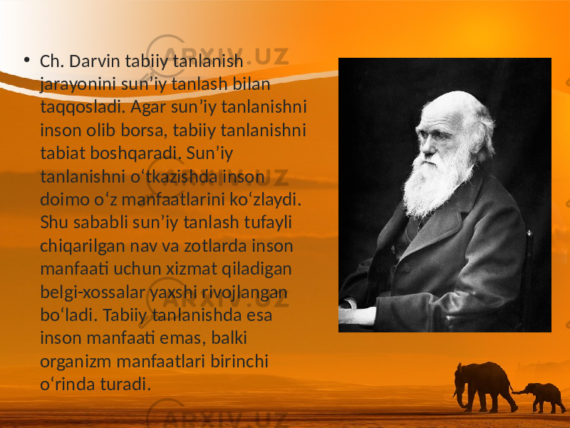 • Ch. Darvin tabiiy tanlanish jarayonini sun’iy tanlash bilan taqqosladi. Agar sun’iy tanlanishni inson olib borsa, tabiiy tanlanishni tabiat boshqaradi. Sun’iy tanlanishni o‘tkazishda inson doimo o‘z manfaatlarini ko‘zlaydi. Shu sababli sun’iy tanlash tufayli chiqarilgan nav va zotlarda inson manfaati uchun xizmat qiladigan belgi-xossalar yaxshi rivojlangan bo‘ladi. Tabiiy tanlanishda esa inson manfaati emas, balki organizm manfaatlari birinchi o‘rinda turadi. 