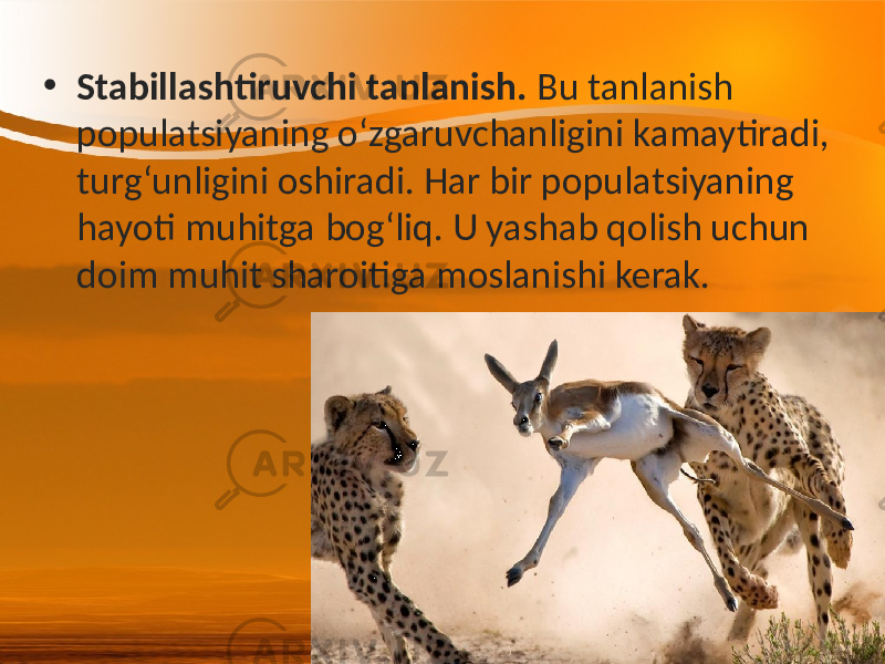 • Stabillashtiruvchi tanlanish. Bu tanlanish populatsiyaning o‘zgaruvchanligini kamaytiradi, turg‘unligini oshiradi. Har bir populatsiyaning hayoti muhitga bog‘liq. U yashab qolish uchun doim muhit sharoitiga moslanishi kerak. 