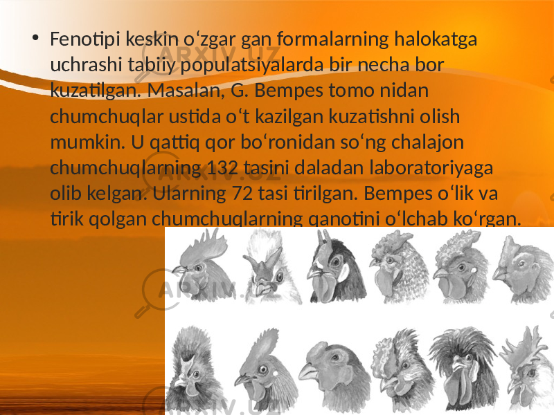 • Fenotipi keskin o‘zgar gan formalarning halokatga uchrashi tabiiy populatsiyalarda bir necha bor kuzatilgan. Masalan, G. Bempes tomo nidan chumchuqlar ustida o‘t kazilgan kuzatishni olish mumkin. U qattiq qor bo‘ronidan so‘ng chalajon chumchuqlarning 132 tasini daladan laboratoriyaga olib kelgan. Ularning 72 tasi tirilgan. Bempes o‘lik va tirik qolgan chumchuqlarning qanotini o‘lchab ko‘rgan. 