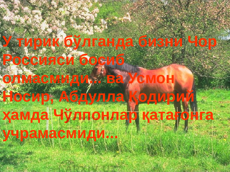 У тирик бўлганда бизни Чор Россияси босиб олмасмиди... ва Усмон Носир, Абдулла Қодирий ҳамда Чўлпонлар қатағонга учрамасмиди... 