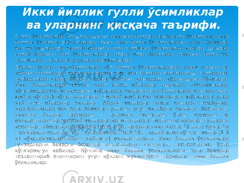 Икки йиллик гулли ўсимликлар ва уларнинг қисқача таърифи. Гулли ўсимликлар етиштиришнинг иккинчи йилида манзарали ўсимликка икки йиллик ўсимлик деб аталади, яъни икки йилик ўсимликларни уруғи баҳорда ёки ёз бошларида экилиб кейинги йили гулловчи ўсимликлар киради. Шундай қилиб биринчи йил ўсимликларда илдиз олди барглари, иккинчи йили эса гулпоялари, гулар ва уруғлар ривожланади. Деярли барча икки йилликлар кўп йиллик ўсимликлардир, аммо учинчи ва кейинги йилларда вегетация давом этса ҳам туплари палапартиш, гуллари ва гулбарглари майда бўлади, ҳамда ўзининг манзарали кўринишини йўқотади. Икки йилликларни асосан март апрел ойларида яшиклар, иссиқхоналар, кўчатзорлар ёки очиқ ернинг жўякларга экилади. Бир йилликлари сингари янги жойга кўчириб кўчат қилинади. Доимий жойга ёки заҳирадаги жўякларга улар май июн ойларида экилади. Айрим ҳолларда виола сингари незабудка, маргариткалар ҳам эрта баҳорда гуллаши учун октябрда экилади. Ҳаётининг иккинчи йилида парвариш – тупроқни юмшатиш, ўташ, суғориш ва озиқлантиришда зарурий ҳолларда каноп ипларга тортиш ва қуриган гулларни кесишдан иборатдир. Иккинчи вегетация даврида икки марта 10 литр сувда 15 г аммиакли селитра 30 г, суперфосфат ва 8-10 г, калий хлор қўшган ҳолда (2-3 м 2 кўкаламзорлаштириш майдони) озиқлантиради. Икки йиллик ўсимликлар гулзорларни баҳорги безашда ишлатилади, чиннигул, насперстянка, ўрта қўнғироқгул кабилар. Кўпгина икки йиллик ўсимликларни эрта баҳорда тезлаштириб етиштириш учун қўллаш мумкинКенг тарқалган икки йиллик ўсимликлар. 