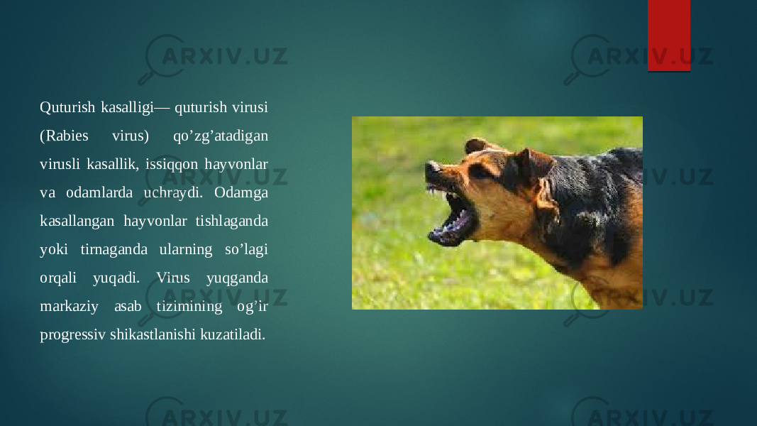 Quturish kasalligi— quturish virusi (Rabies virus) qo’zg’atadigan virusli kasallik, issiqqon hayvonlar va odamlarda uchraydi. Odamga kasallangan hayvonlar tishlaganda yoki tirnaganda ularning so’lagi orqali yuqadi. Virus yuqganda markaziy asab tizimining og’ir progressiv shikastlanishi kuzatiladi. 