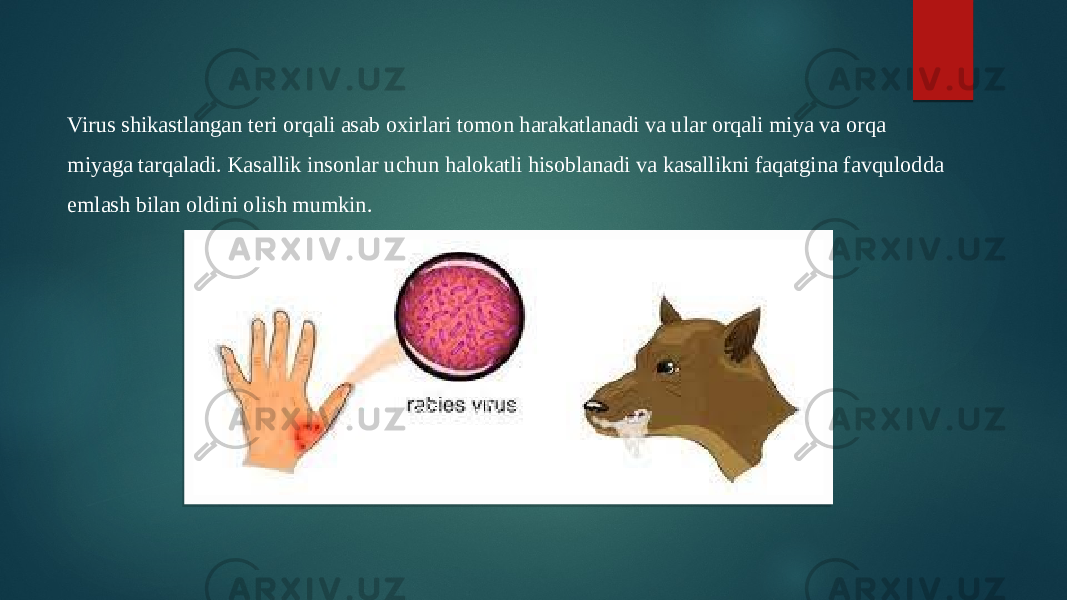 Virus shikastlangan teri orqali asab oxirlari tomon harakatlanadi va ular orqali miya va orqa miyaga tarqaladi. Kasallik insonlar uchun halokatli hisoblanadi va kasallikni faqatgina favqulodda emlash bilan oldini olish mumkin. 