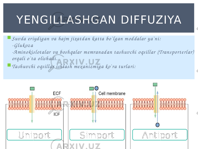  S u v d a e r i y d i g a n v a h a j m j i xa t d a n ka t t a b o ` l g a n m o d d a l a r y a ` n i : - G l u ko z a -A m i n o k i s l o t a l a r v a b o s h q a l a r m e m r a n a d a n t a s h u v c h i o q s i l l a r ( Tr a n s p o r t e r l a r ) o r q a l i o ` t a o l i s h a d i .  T a s h u v c h i o q s i l l a r i s h l a s h m e x a n i z m i g a ko ` r a t u r l a r i : YENGIL L ASH GAN DIF FUZIYA Uniport Simport Antiport 