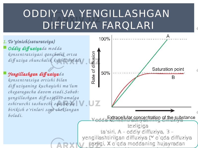 1. T o ’ y i n i s h ( s a t u r a t s i y a )  O d d i y d i ff u z i y a d a m o d d a ko n s e n t r a t s i y a s i q a n c h a l i k o r t s a d i ff u z i y a s h u n c h a l i k k u c h l i b o l a d i  Ye n g i l l a s h g a n d i ff u z i y a d a ko n s e n t r a t s i y a o r t i s h i b i l a n d i ff u z i y a n i n g k u c h a y i s h i m a’ l u m c h e g a r a g a c h a d a v o m e t a d i . S a b a b : y e n g i l l a s h g a n d i ff u z i y a n i a m a l g a o s h i r u v c h i t a s h u v c h i o q s i l l a r d a b i r i k i s h o ’ r i n l a r i s o n i c h e k l a n g a n b o l a d i . O D D I Y VA Y E N G I L L A S H G A N D I F F UZ I YA FA R Q L A R I Modda konsentratsiyasining diffuziya tezligiga ta’siri, A – oddiy diffuziya, B – yengillashtirilgan diffuziya (Y oʻqda diffuziya tezligi, X oʻqda moddaning hujayradan tashqari konsentratsiyasi) 