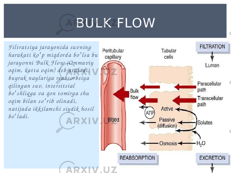 F i l t r a t s i y a j a r a y o n i d a s u v n i n g h a r a ka t i ko p m i q d o rd a b o l s a b u ʻ ʻ j a r a y o n n i B u l k F l o w ( O m m a v i y o q i m , ka t t a o q i m ) d e b a t a l a d i , b u y r a k n a y l a r i g a r e a b s o r b s i y a q i l i n g a n s u v, i n t e r s i t s i a l b o s h l i q g a v a q o n t o m i r g a s h u ʻ o q i m b i l a n s o r i b o l i n a d i , ʻ n a t i j a d a i k k i l a m c h i s i y d i k h o s i l b o l a d i . ʻ BU L K FLOW 