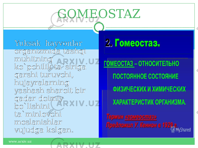  Yuksak hayvonlar organizmida tashqi muhitning ko`pchilik ta`siriga qarshi turuvchi, hujayralarning yashash sharoit bir qadar doimiy bo`lishini ta`minlovchi moslanishlar vujudga kelgan. GOMEOSTAZ www.arxiv.uz 