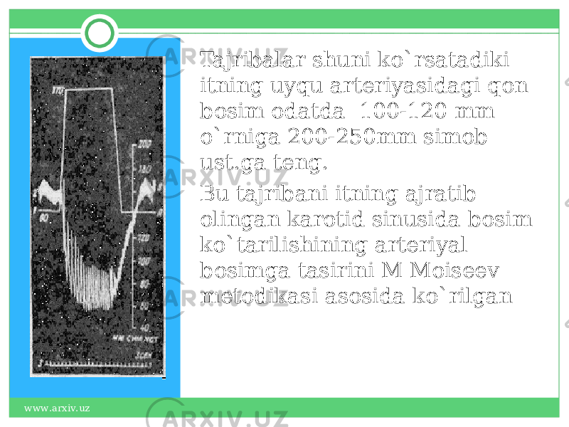 Tajribalar shuni ko`rsatadiki itning uyqu arteriyasidagi qon bosim odatda 100-120 mm o`rniga 200-250mm simob ust.ga teng. Bu tajribani itning ajratib olingan karotid sinusida bosim ko`tarilishining arteriyal bosimga tasirini M Moiseev metodikasi asosida ko`rilgan www.arxiv.uz 