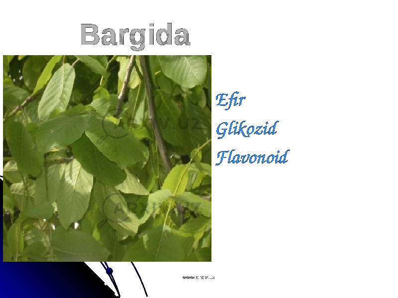 BargidaBargida  EfirEfir  GlikozidGlikozid  FlavonoidFlavonoid www.arxiv.uzwww.arxiv.uz 