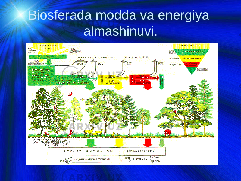 Biosferada modda va energiya almashinuvi. 