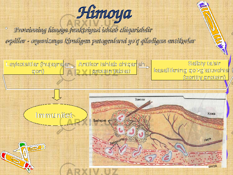 Himoya • Proteinning himoya funktsiyasi ishlab chiqarishdir oqsillar - organizmga kiradigan patogenlarni yo&#39;q qiladigan antikorlar Leykotsitlar (hujayralar qon) Antikor ishlab chiqarish protein tabiati Salbiy ta&#39;sir kasallikning qo&#39;zg&#39;atuvchisi bo&#39;yicha (xorijiy protein) Immunitet 