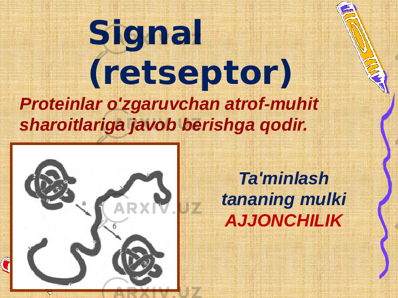 Signal (retseptor) Proteinlar o&#39;zgaruvchan atrof-muhit sharoitlariga javob berishga qodir. Ta&#39;minlash tananing mulki AJJONCHILIK 