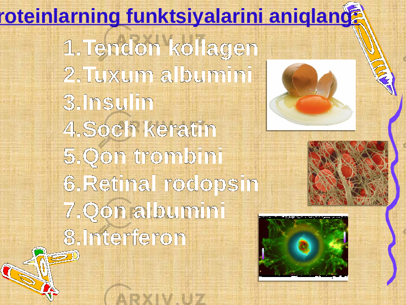  Proteinlarning funktsiyalarini aniqlang: 1. Tendon kollagen 2. Tuxum albumini 3. Insulin 4. Soch keratin 5. Qon trombini 6. Retinal rodopsin 7. Qon albumini 8. Interferon 