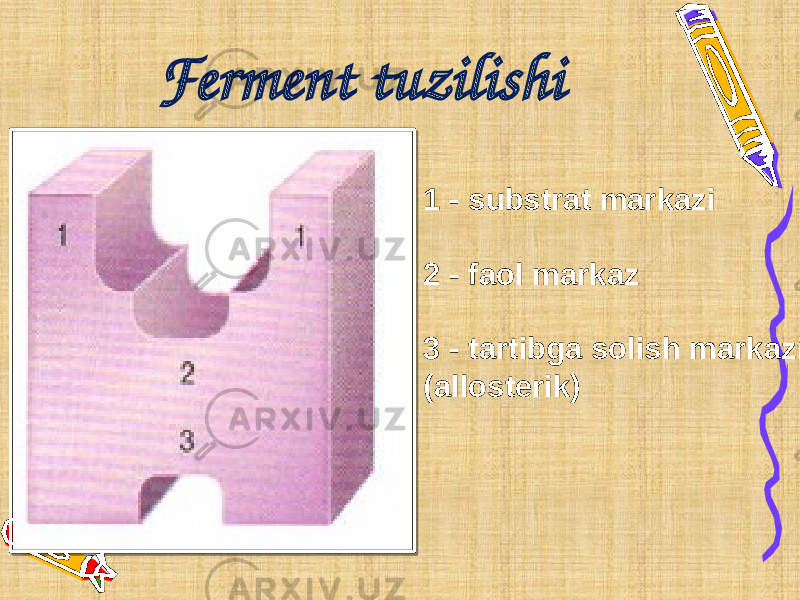 Ferment tuzilishi 1 - substrat markazi 2 - faol markaz 3 - tartibga solish markazi (allosterik) 