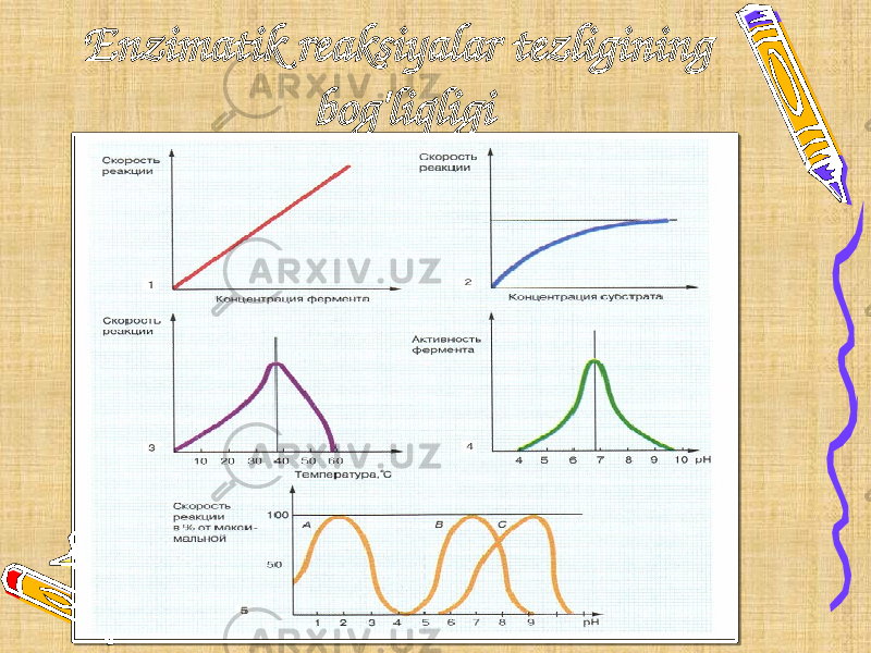 Enzimatik reaksiyalar tezligining bog&#39;liqligi 