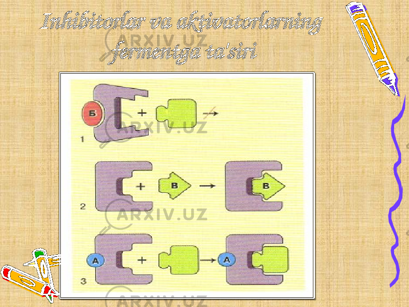 Inhibitorlar va aktivatorlarning fermentga ta&#39;siri 