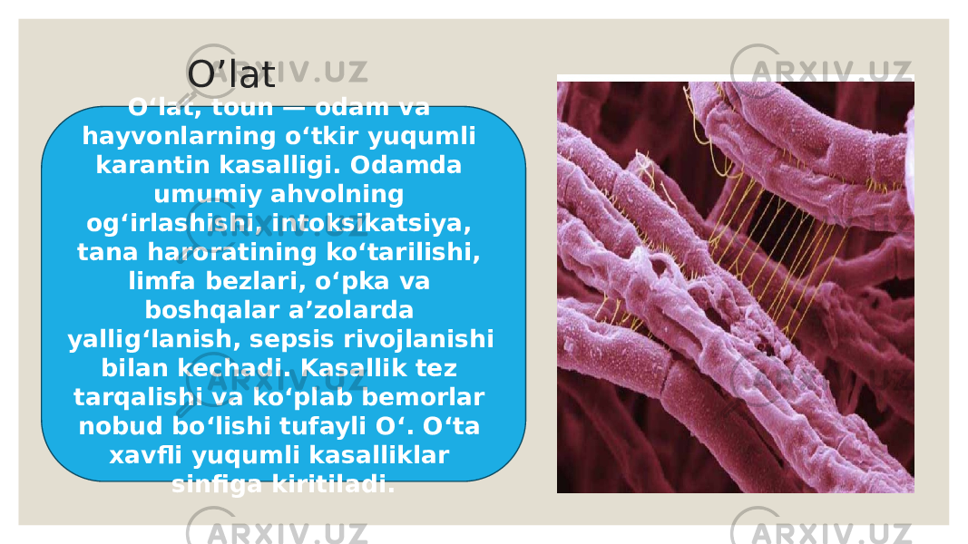  O’lat Oʻlat, toun — odam va hayvonlarning oʻtkir yuqumli karantin kasalligi. Odamda umumiy ahvolning ogʻirlashishi, intoksikatsiya, tana haroratining koʻtarilishi, limfa bezlari, oʻpka va boshqalar aʼzolarda yalligʻlanish, sepsis rivojlanishi bilan kechadi. Kasallik tez tarqalishi va koʻplab bemorlar nobud boʻlishi tufayli Oʻ. Oʻta xavfli yuqumli kasalliklar sinfiga kiritiladi. 