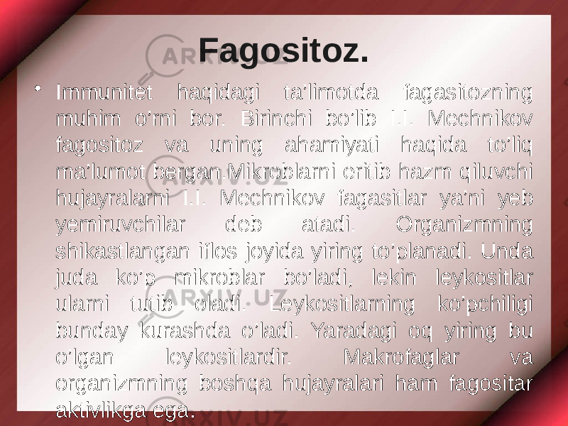 Fagositoz. • Immunitet haqidagi ta’limotda fagasitozning muhim o’rni bor. Birinchi bo’lib I.I. Mechnikov fagositoz va uning ahamiyati haqida to’liq ma’lumot bergan.Mikroblarni eritib hazm qiluvchi hujayralarni I.I. Mechnikov fagasitlar ya’ni yeb yemiruvchilar deb atadi. Organizmning shikastlangan iflos joyida yiring to’planadi. Unda juda ko’p mikroblar bo’ladi, lekin leykositlar ularni tutib oladi. Leykositlarning ko’pchiligi bunday kurashda o’ladi. Yaradagi oq yiring bu o’lgan leykositlardir. Makrofaglar va organizmning boshqa hujayralari ham fagositar aktivlikga ega. 