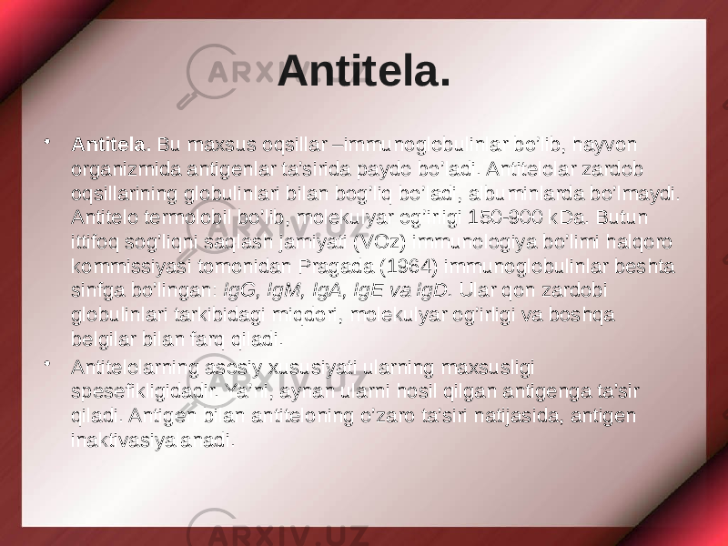 Antitela. • Antitela. Bu maxsus oqsillar –immunoglobulinlar bo’lib, hayvon organizmida antigenlar ta’sirida paydo bo’ladi. Antitelolar zardob oqsillarining globulinlari bilan bog’liq bo’ladi, albuminlarda bo’lmaydi. Antitelo termolobil bo’lib, molekulyar og’irligi 150-900 kDa. Butun ittifoq sog’liqni saqlash jamiyati (VOz) immunologiya bo’limi halqoro kommissiyasi tomonidan Pragada (1964) immunoglobulinlar beshta sinfga bo’lingan: IgG, IgM, IgA, IgE va IgD. Ular qon zardobi globulinlari tarkibidagi miqdori, molekulyar og’irligi va boshqa belgilar bilan farq qiladi. • Antitelolarning asosiy xususiyati ularning maxsusligi spesefikligidadir. Ya’ni, aynan ularni hosil qilgan antigenga ta’sir qiladi. Antigen bilan antiteloning o’zaro ta’siri natijasida, antigen inaktivasiyalanadi. 