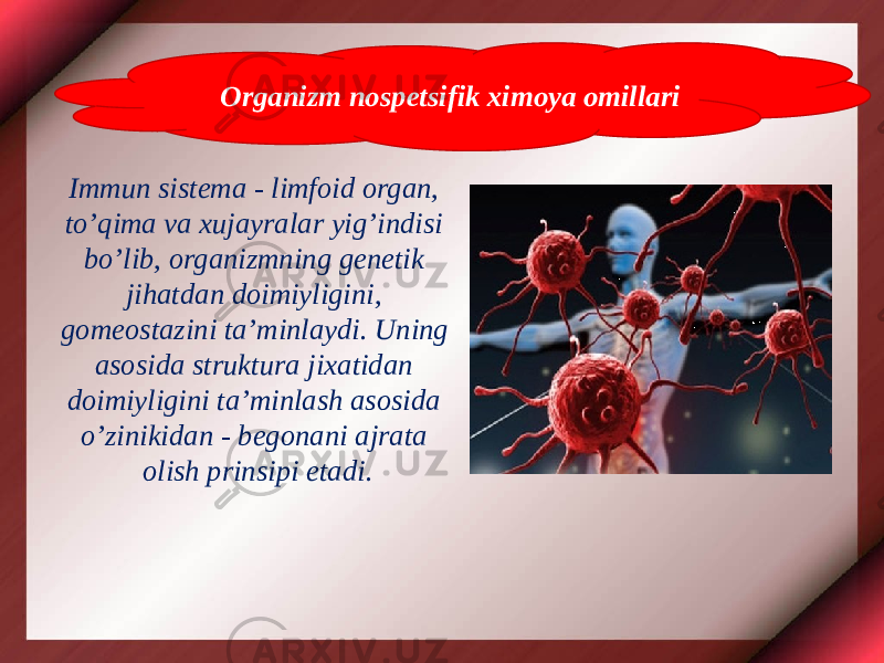 Immun sistema - limfoid organ, to’qima va xujayralar yig’indisi bo’lib, organizmning genetik jihatdan doimiyligini, gomeostazini ta’minlaydi. Uning asosida struktura jixatidan doimiyligini ta’minlash asosida o’zinikidan - begonani ajrata olish prinsipi etadi. Organizm nospetsifik ximoya omillari 