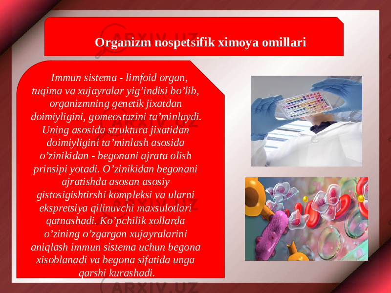 Organizm nospetsifik ximoya omillari Immun sistema - limfoid organ, tuqima va xujayralar yig’indisi bo’lib, organizmning genetik jixatdan doimiyligini, gomeostazini ta’minlaydi. Uning asosida struktura jixatidan doimiyligini ta’minlash asosida o’zinikidan - begonani ajrata olish prinsipi yotadi. O’zinikidan begonani ajratishda asosan asosiy gistosigishtirshi kompleksi va ularni ekspretsiya qilinuvchi maxsulotlari qatnashadi. Ko’pchilik xollarda o’zining o’zgargan xujayralarini aniqlash immun sistema uchun begona xisoblanadi va begona sifatida unga qarshi kurashadi. 