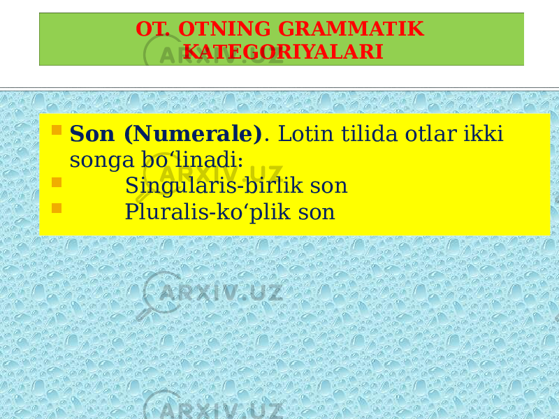  Son (Numerale) . Lotin tilida otlar ikki songa bo‘linadi:  Singularis -birlik son  Pluralis -ko‘plik sonOT. OTNING GRAMMATIK KATEGORIYALARI 